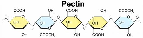 TÁC DỤNG CỦA PECTIN ĐỐI VỚI SỨC KHỎE CON NGƯỜI