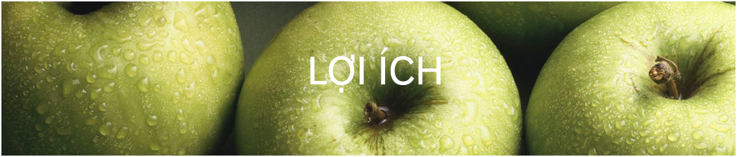 Banner 2